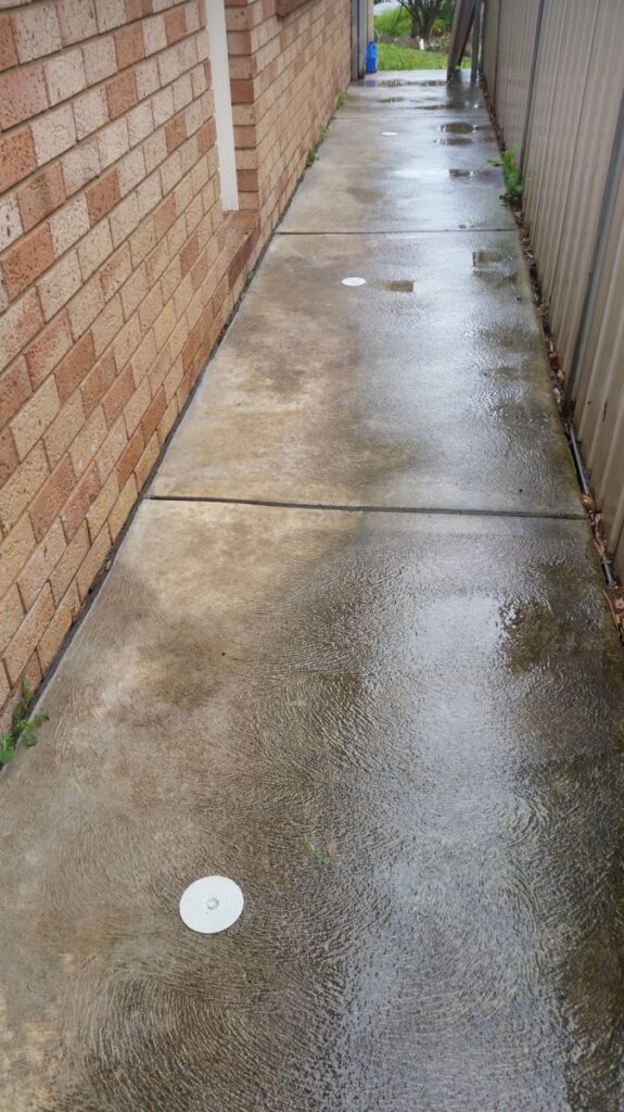 Beautiful view of Pest Control Companies That Offer Senior Assistance