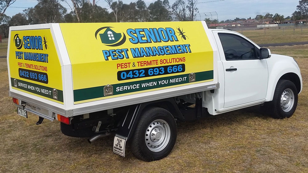 Senior Pest Management | Pest & Termite Solutions