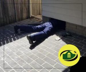 Termite Destruction in Homes | Senior Pest Management