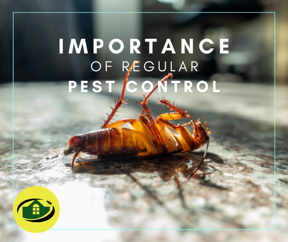 Importance of Regular Pest Control | Senior Pest Management
